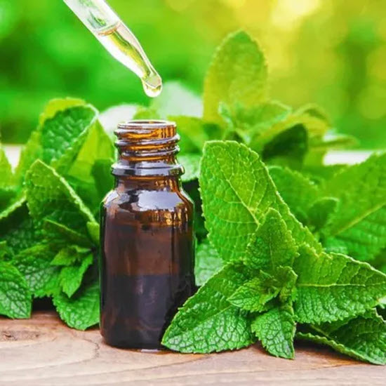 Peppermint Sugar Scrub